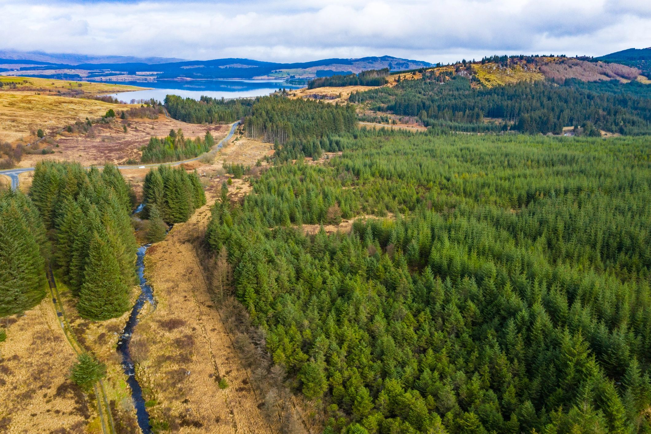Aerial view of a pine forest in Scotland representing nature-based carbon projects